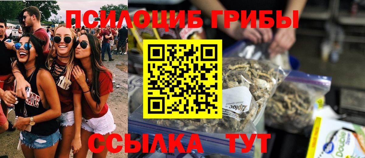Псилоцибиновые грибы прущие грибы Можга