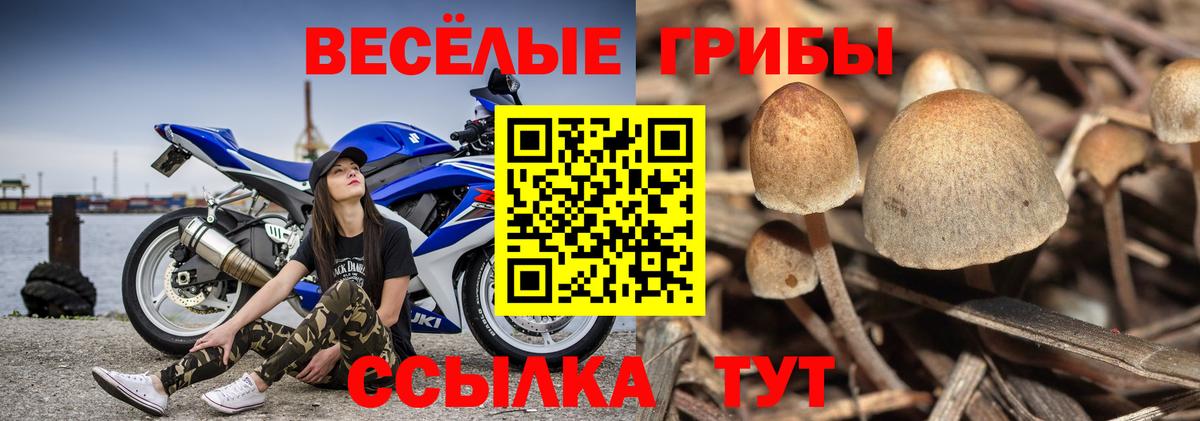 Галлюциногенные грибы мухоморы  Галлюциногенные грибы мицелий  Вход с VPN  Можга 