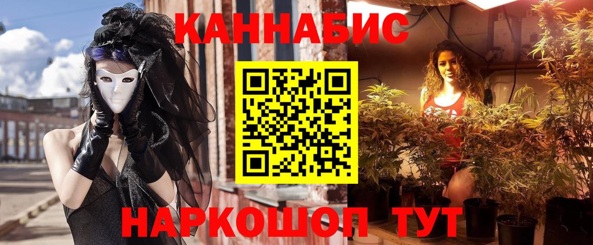 Каннабис гибрид Можга